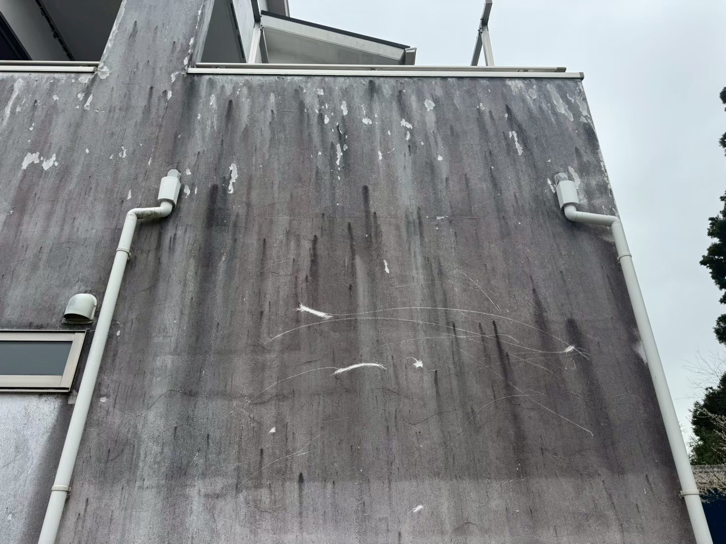 黒ずみや雨だれが目立つ劣化した住宅の外壁の様子